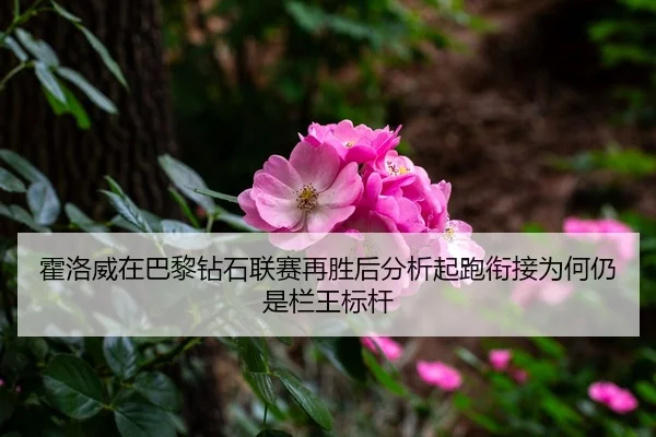 霍洛威在巴黎钻石联赛再胜后分析起跑衔接为何仍是栏王标杆