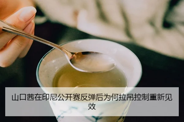 shan-kou-qian-zai-yin-ni-gong-kai-sai-fan-tan-hou-wei-he-la-diao-kong-zhi-chong-xin-jian-xiao-2-292.jpg